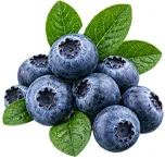 Optivita — สารสกัดบิลเบอร์รี่