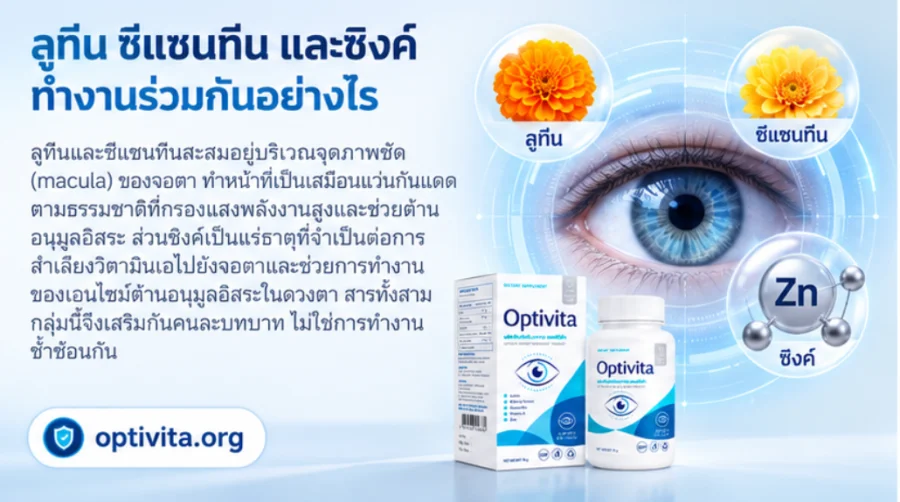 Optivita — ลูทีนและซีแซนทีนปกป้องจอตา
